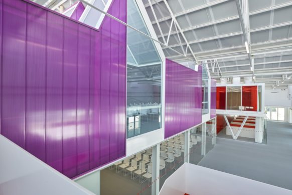 Sapaba_fondazione-golinelli5